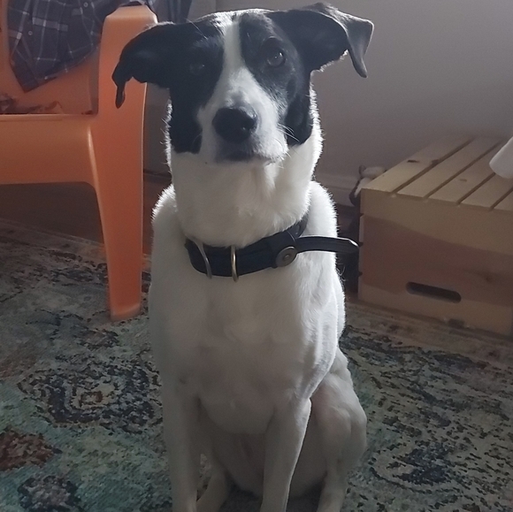 Meet your Posher, Valerie - Picture 3 of 3